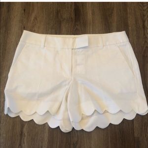 J. crew shorts *NWT*